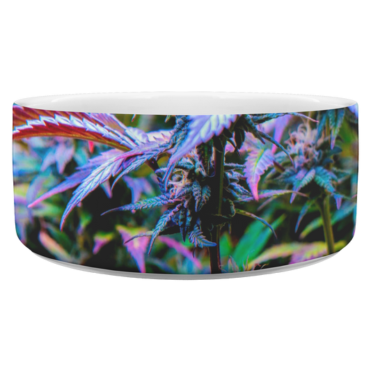 The Rainbow Cannabis Pet Bowl