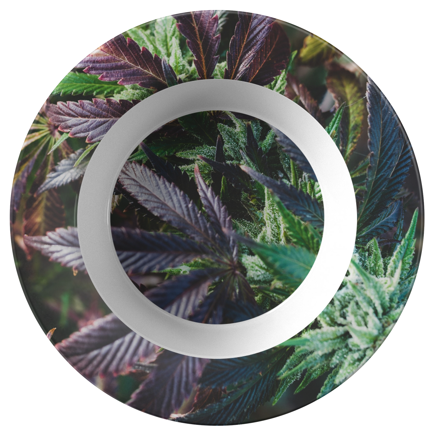 My Cannabis Garden Bowl