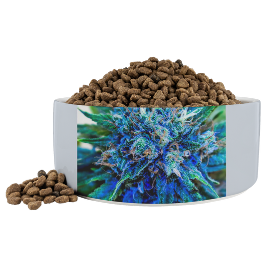 Catturare La Mia Attenzione Cannabis Pet Bowl