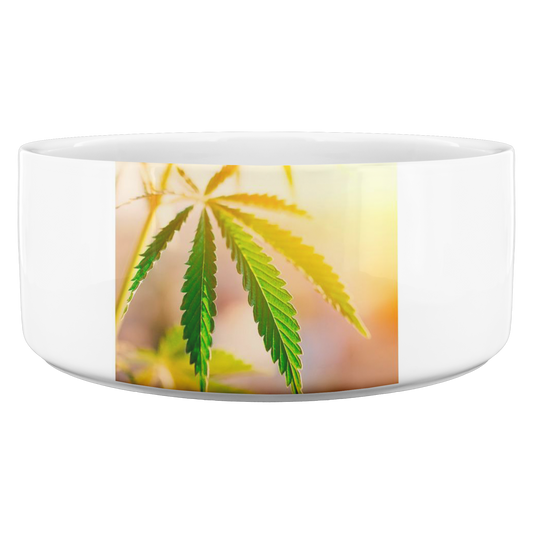 Sunrise Sunset Cannabis Pet Bowl