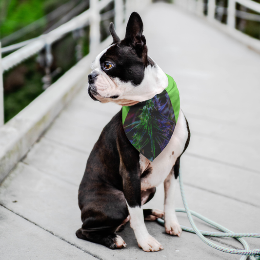 The Purple Cannabis Pet Bandana