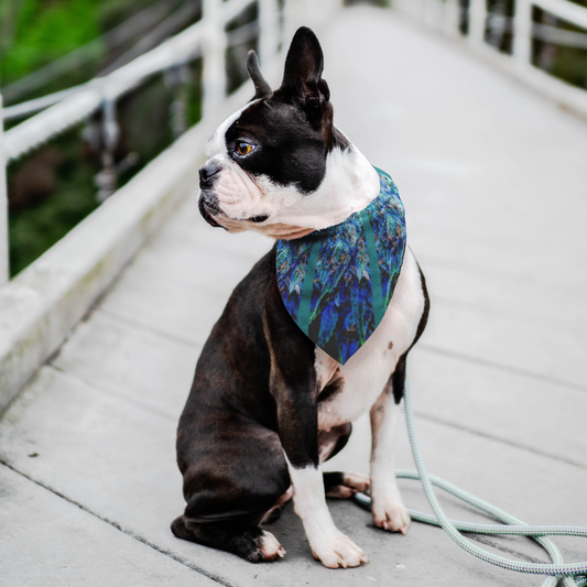 Catturare La Mia Attenzione Cannabis Pet Bandana