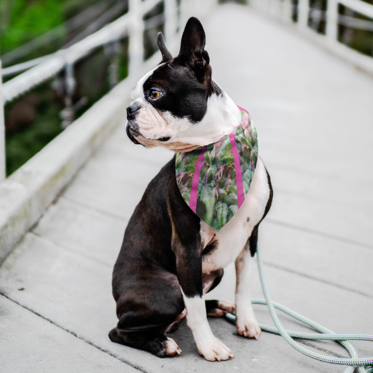 Blooming With Purple Cannabis Pet Bandana