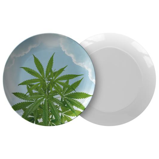 Cannabis Tra Le Nuvole Plate