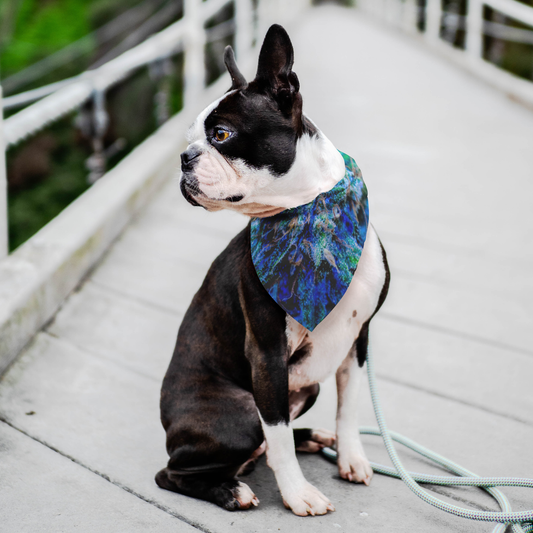 Catturare La Mia Attenzione Cannabis Pet Bandana
