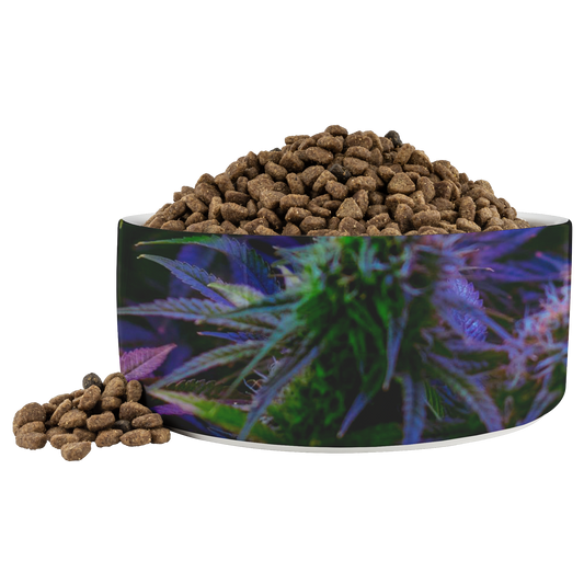 The Purple Cannabis Pet Bowl