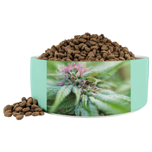 Blooming With Purple Cannabis Pet Bowl