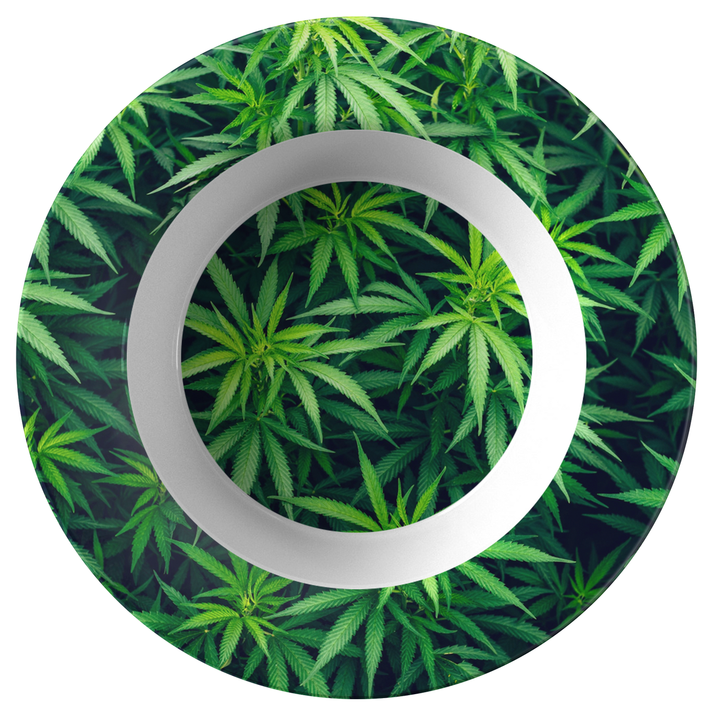 My Cannabis Bowl
