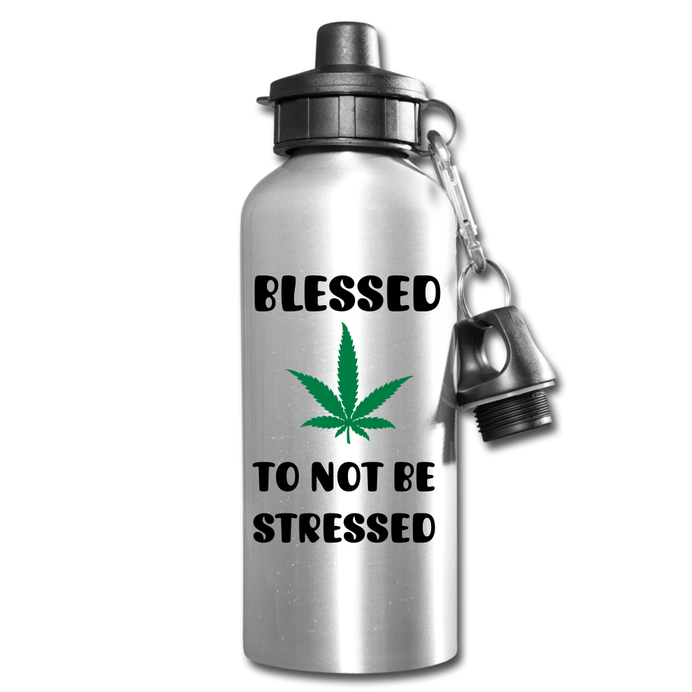 Blessed & Thankful Water Bottle - silver