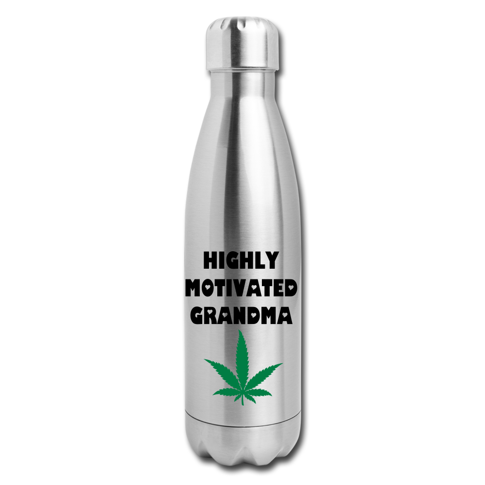 Insulated Stainless Steel Water Bottle - silver