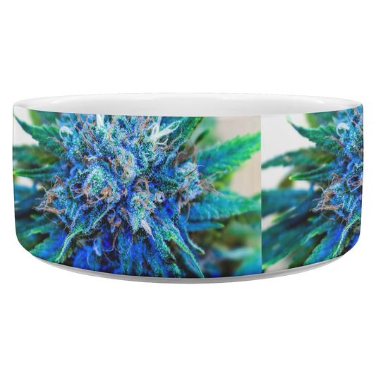 Catturare La Mia Attenzione Cannabis Pet Bowl