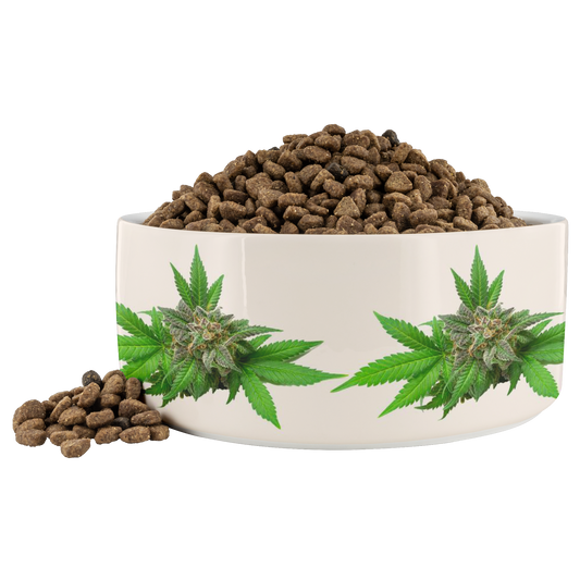 Semplicemente Cannabis Pet Bowl