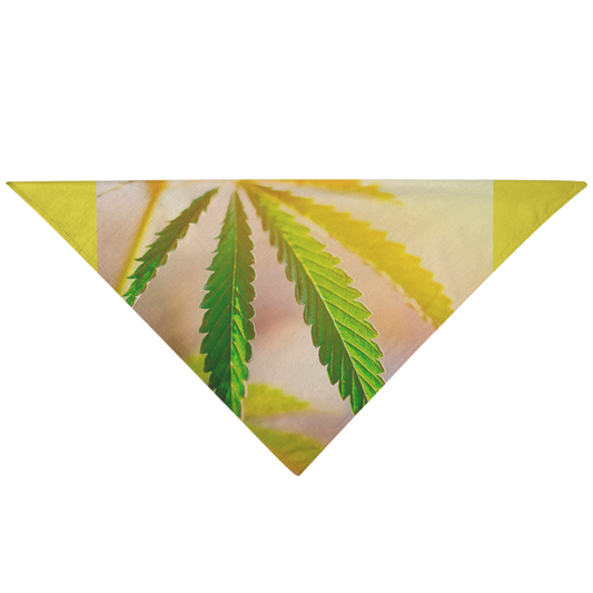 Sunrise Sunset Cannabis Pet Bandana