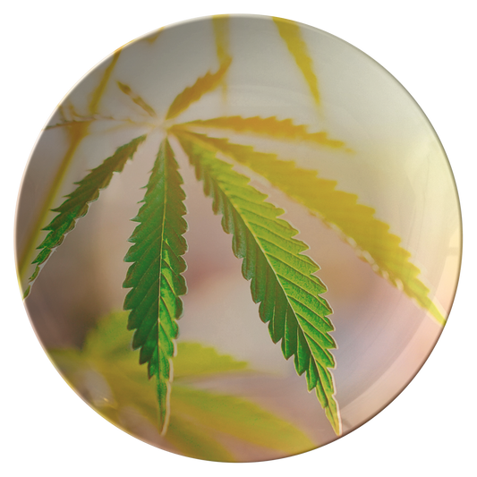 Sunrise Sunset Cannabis Plate