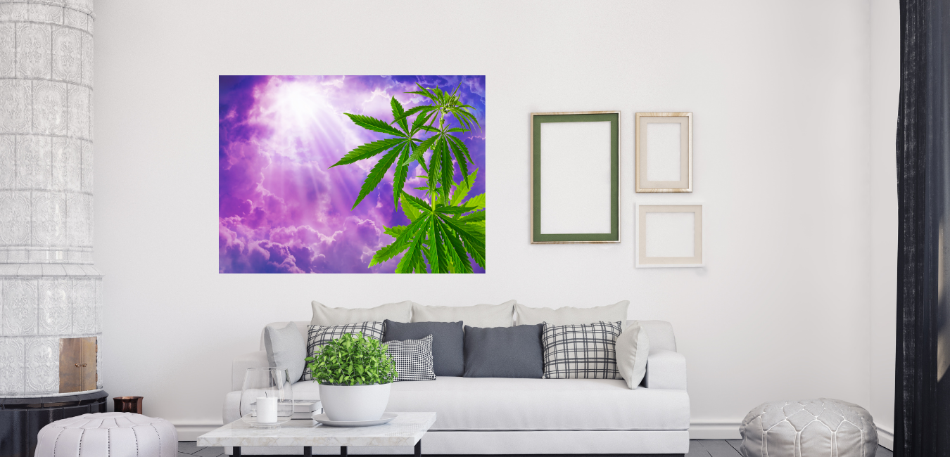 Sogno Di Cannabis Collection