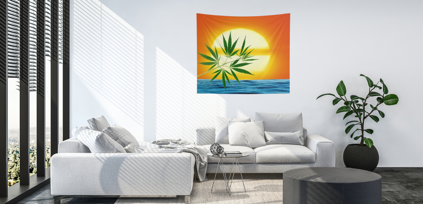 Un'alba Con La Cannabis Collection