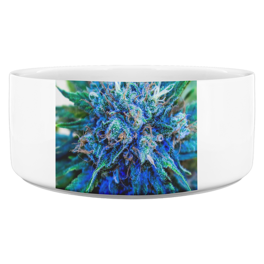 Catturare La Mia Attenzione Cannabis Pet Bowl