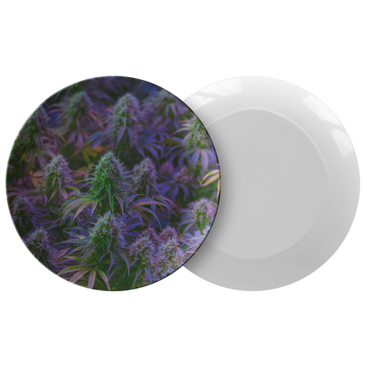 The Purple Cannabis Plate