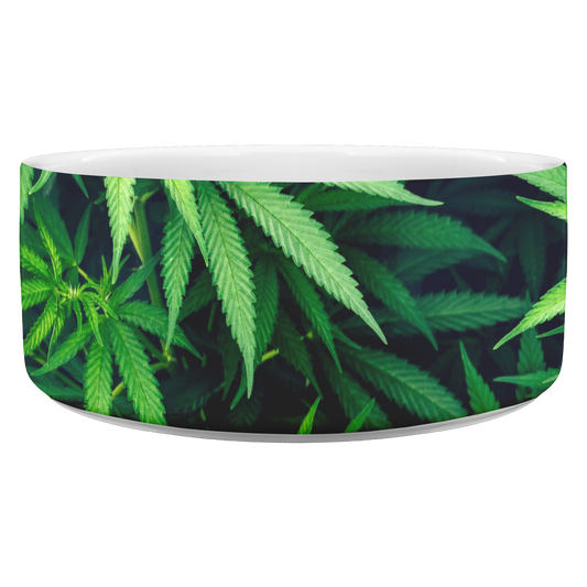 My Cannabis Pet Bowl