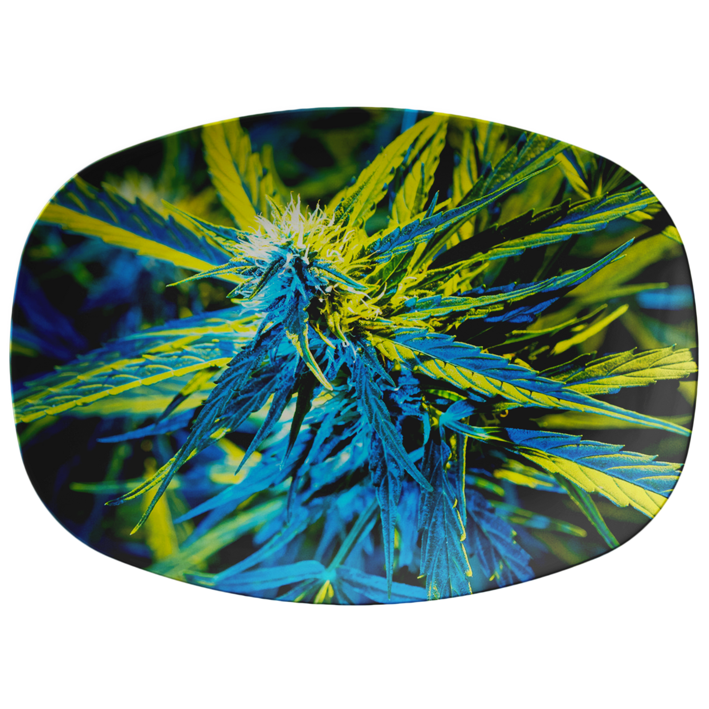 Into The Cannabis Galaxy Blue Platter