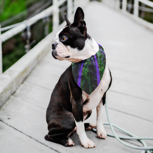 The Purple Cannabis Pet Bandana