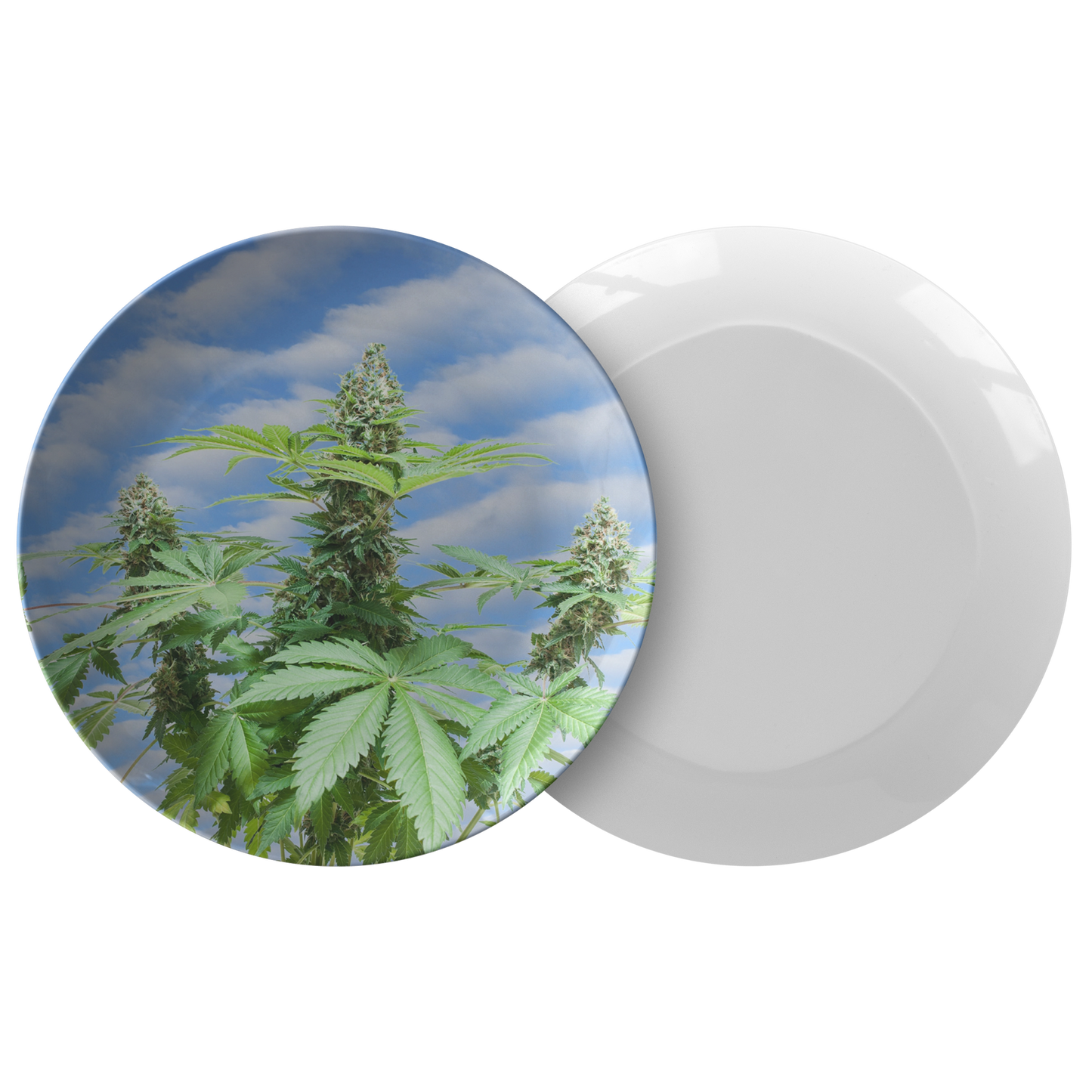 Sono Bella Cannabis Plate