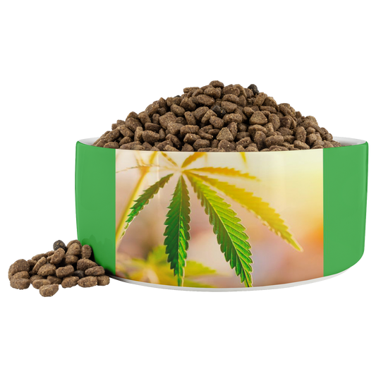 Sunrise Sunset Cannabis Pet Bowl