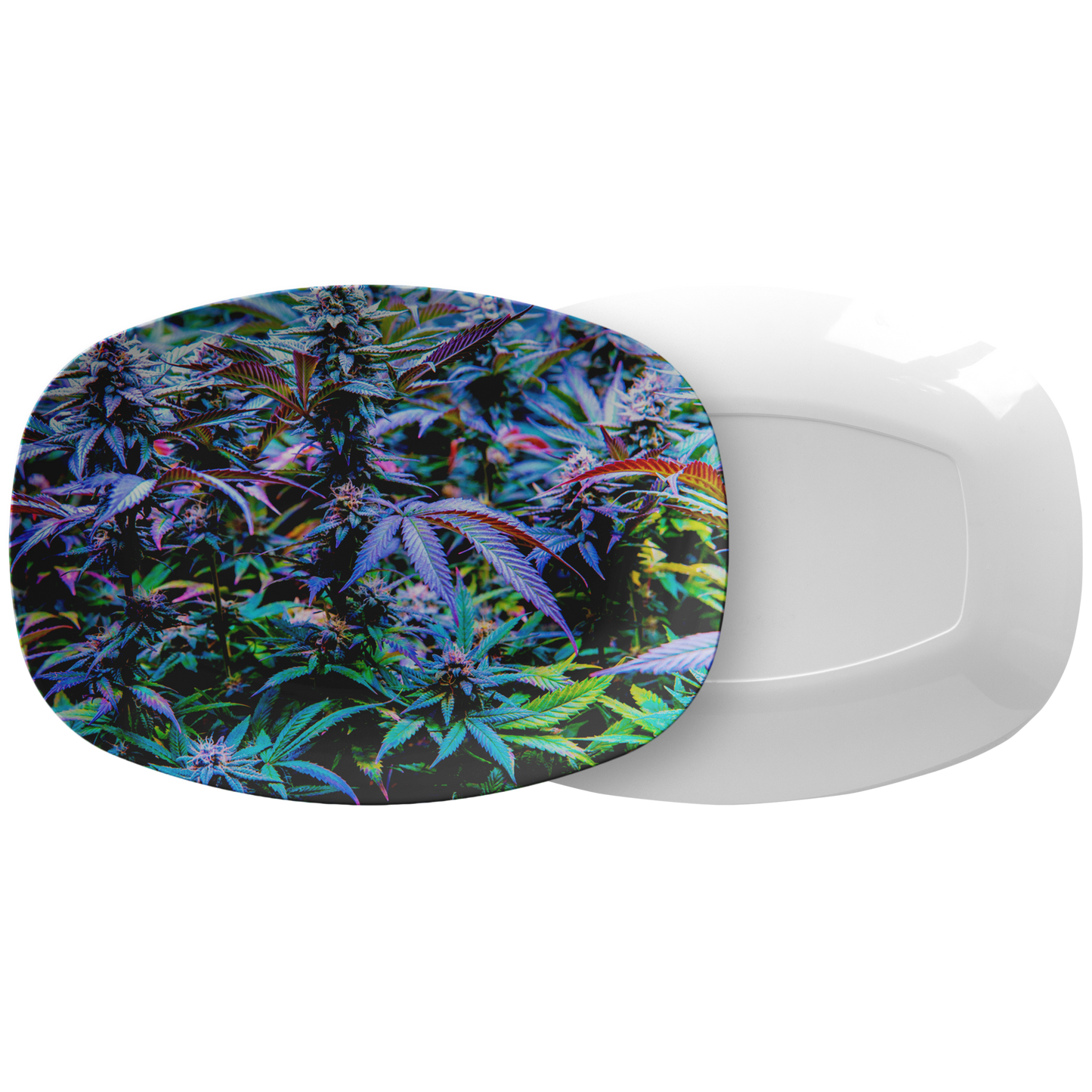 The Rainbow Cannabis Platter